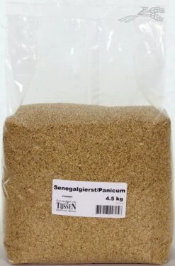 Senegalgierst - Panicum 4,5 Kg 5 Senegalgierst - Panicum 4,5 Kg -Beste Dierenwinkel 8715207928058 1