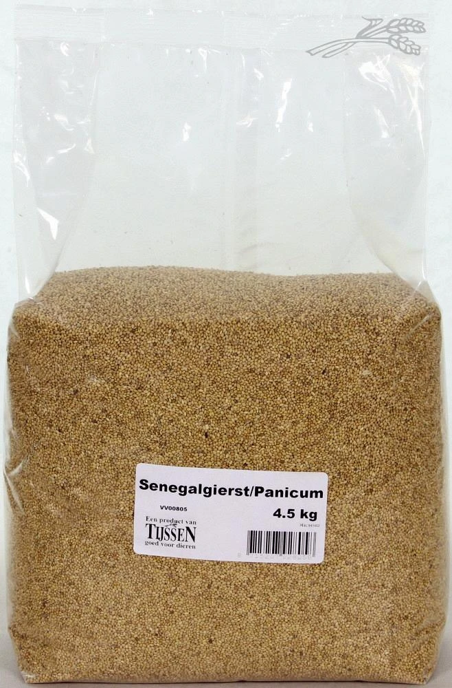 Senegalgierst - Panicum 4,5 Kg 3 Senegalgierst - Panicum 4,5 Kg - Afbeelding 3