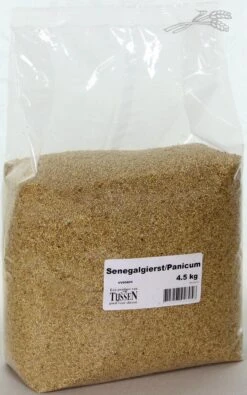 Senegalgierst - Panicum 4,5 Kg