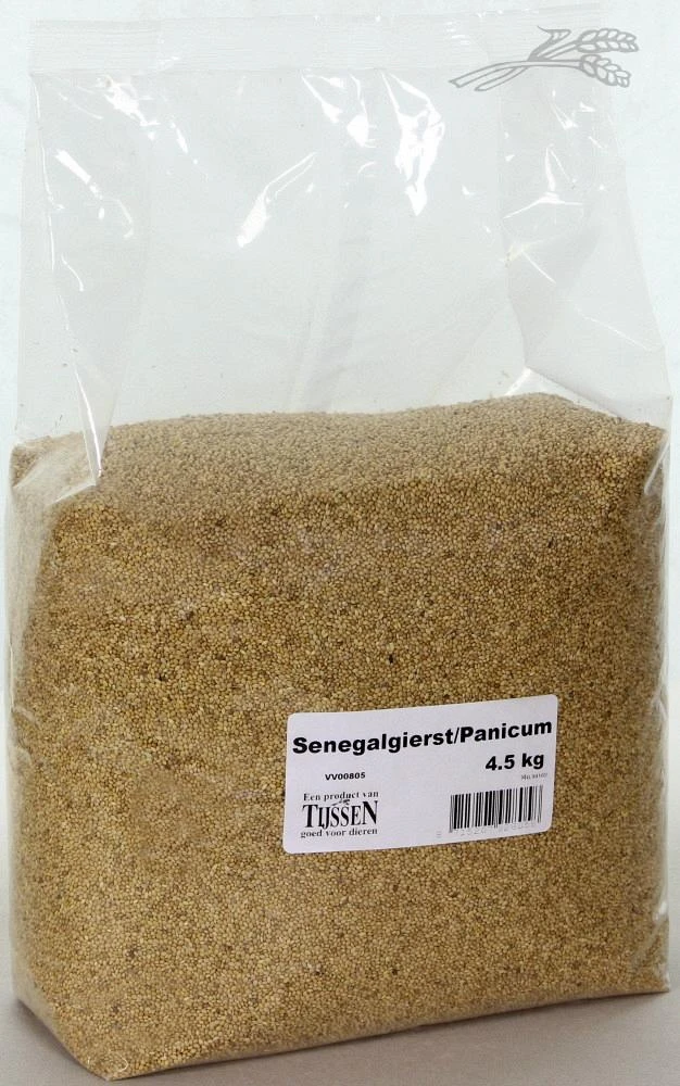 Senegalgierst - Panicum 4,5 Kg 1 Senegalgierst - Panicum 4,5 Kg