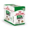 Royal Canin Hondenvoer Mini Ageing 12+ 12 X 85 Gr