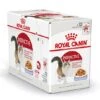 Royal Canin Kattenvoer Instinctive In Jelly 12 X 85 Gr