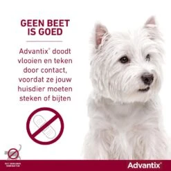 Advantix 100 4 Pipetten 7 Advantix 100 4 Pipetten -Beste Dierenwinkel Advantix geenbeetisgoed