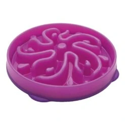 Outward Hound Slo-Bowl Fun Feeder Paars