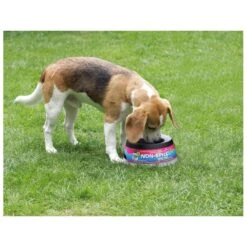 Road Refresher Grijs 15 Road Refresher Grijs -Beste Dierenwinkel LGRR 3