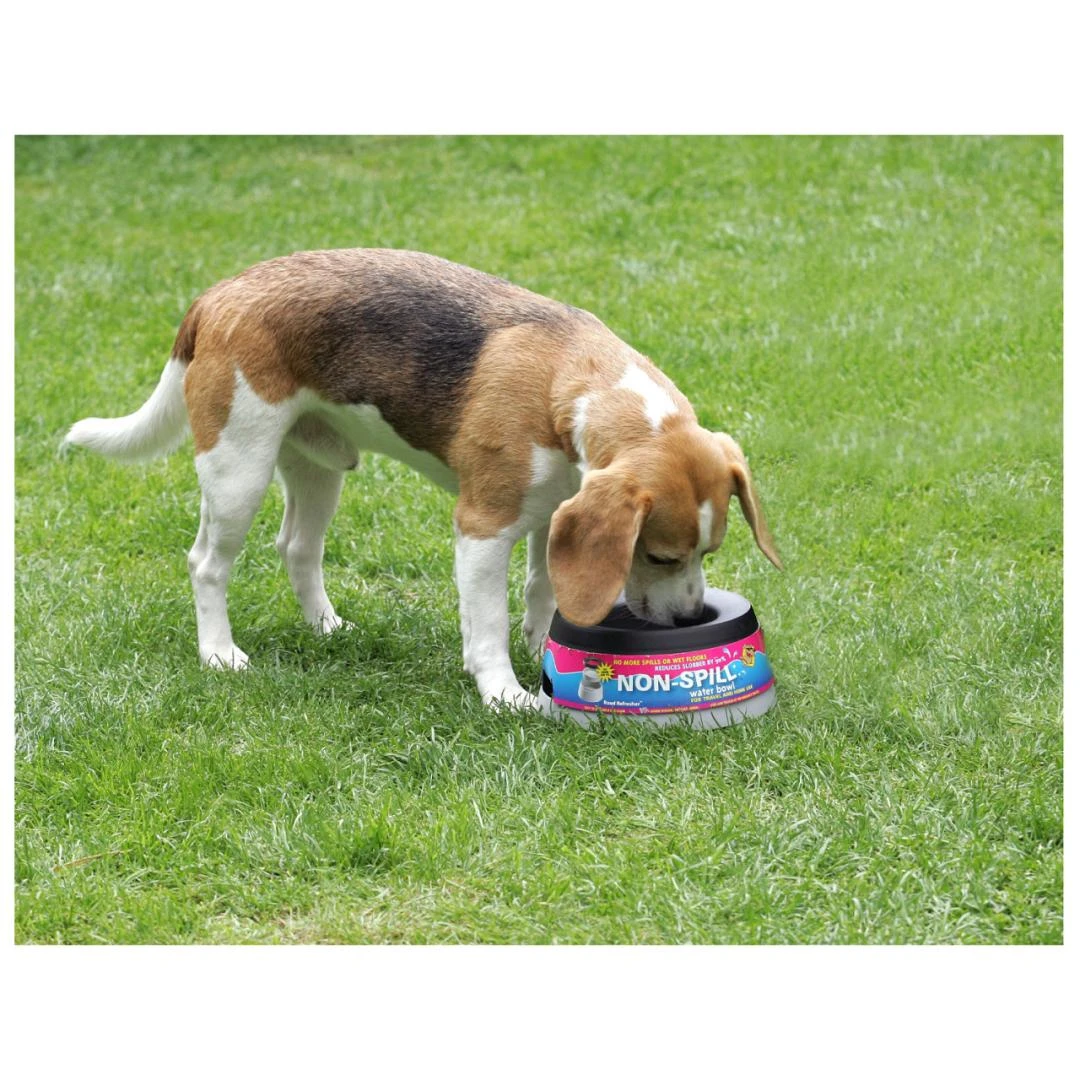 Road Refresher Grijs 8 Road Refresher Grijs - Afbeelding 8