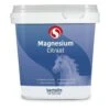 Sectolin Magnesium Citraat 1 Kg