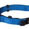 Rogz Beltz Utility Halsband Safety Blue