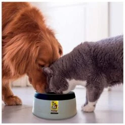 Road Refresher Grijs 11 Road Refresher Grijs -Beste Dierenwinkel SGRR 3