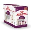 Royal Canin Kattenvoer Sensory In Gravy 12 X 85 Gr