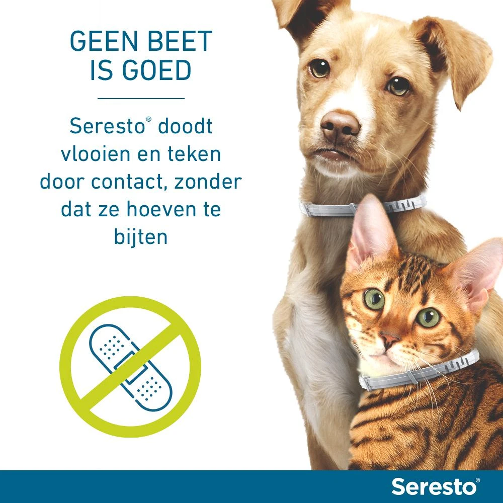 Seresto Band Voor Katten 4 Seresto Band Voor Katten - Afbeelding 4