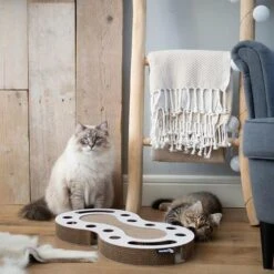 District 70 SNAKE White 5 District 70 SNAKE White -Beste Dierenwinkel Snake wit 2