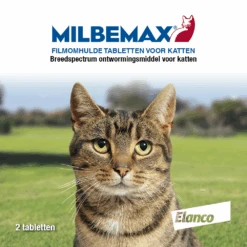 Nieuwkomers -Beste Dierenwinkel Tabletten voor katten