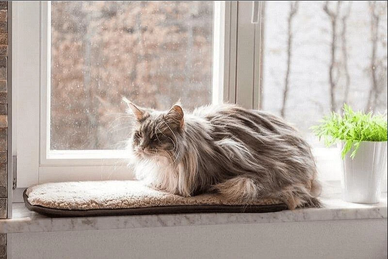 Petlando Windowchiller Stone 2 Petlando Windowchiller Stone - Afbeelding 2