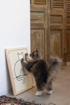 Designed By Lotte Hout Krabplank Sammy 7 Designed By Lotte Hout Krabplank Sammy -Beste Dierenwinkel Web 0409140 sfeer1