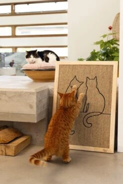 Designed By Lotte Hout Krabplank Poezels 7 Designed By Lotte Hout Krabplank Poezels -Beste Dierenwinkel Web 0409142 sfeer1