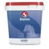 Sectolin Equivital Biotine 1 Kg