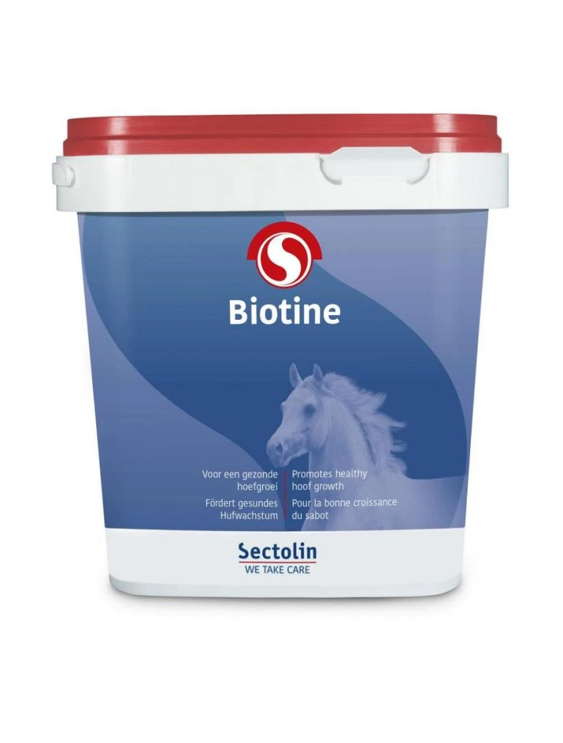 Sectolin Equivital Biotine 1 Kg 1 Sectolin Equivital Biotine 1 Kg