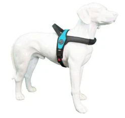 Tre Ponti Hondentuig Primo Blauw