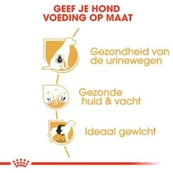 Royal Canin Hondenvoer Bichon Frise Adult 1,5 Kg -Beste Dierenwinkel royal canin bichon frise adult volwassen hond bichon frise vanaf 10 maanden hero usp