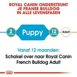 Royal Canin Hondenvoer French Bulldog Puppy 3 Kg 7 Royal Canin Hondenvoer French Bulldog Puppy 3 Kg -Beste Dierenwinkel royal canin french bulldog junior pup hond franse bulldog hero image 9