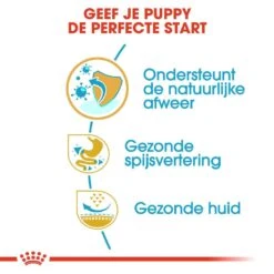 Royal Canin Hondenvoer French Bulldog Puppy 3 Kg 6 Royal Canin Hondenvoer French Bulldog Puppy 3 Kg -Beste Dierenwinkel royal canin french bulldog junior pup hond franse bulldog hero usp