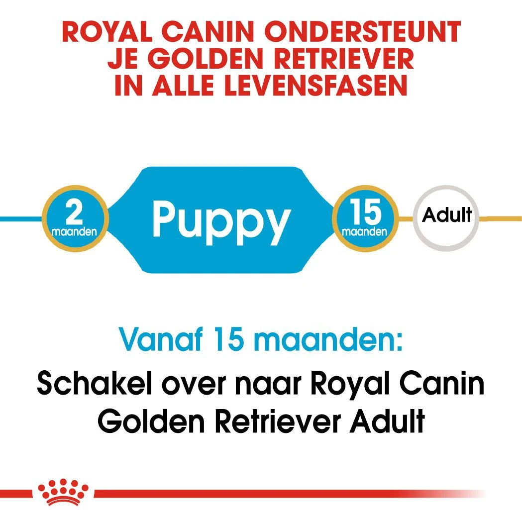 Royal Canin Hondenvoer Golden Retriever Puppy 12 Kg 4 Royal Canin Hondenvoer Golden Retriever Puppy 12 Kg - Afbeelding 4