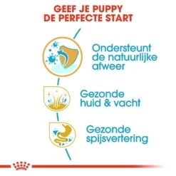 Royal Canin Hondenvoer Golden Retriever Puppy 12 Kg 6 Royal Canin Hondenvoer Golden Retriever Puppy 12 Kg -Beste Dierenwinkel royal canin golden retriever junior pup hond golden retriever hero usp