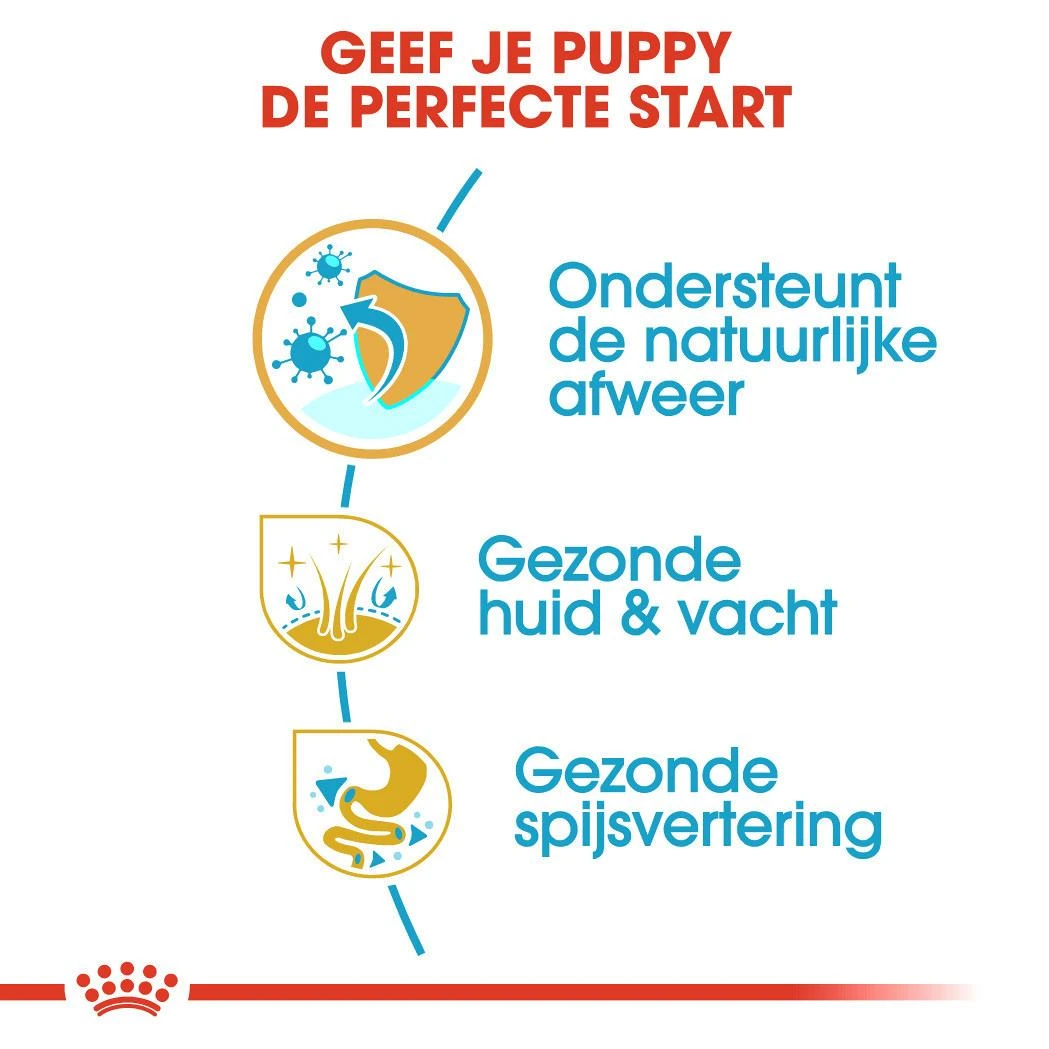 Royal Canin Hondenvoer Golden Retriever Puppy 12 Kg 3 Royal Canin Hondenvoer Golden Retriever Puppy 12 Kg - Afbeelding 3