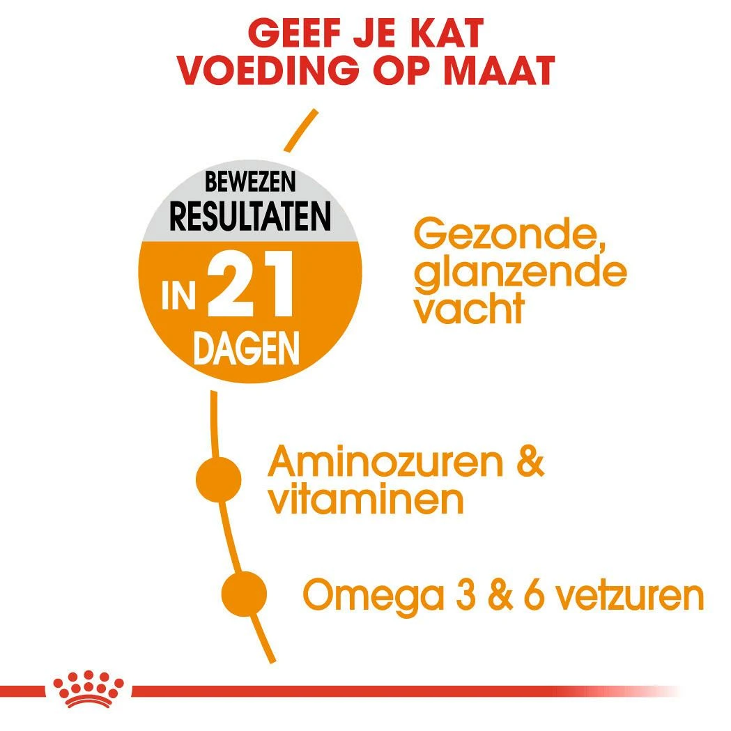 Royal Canin Kattenvoer Hair & Skin Care 4 Kg 4 Royal Canin Kattenvoer Hair & Skin Care 4 Kg - Afbeelding 4