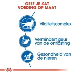 Royal Canin Kattenvoer Indoor 7+ 3,5 Kg 6 Royal Canin Kattenvoer Indoor 7+ 3,5 Kg -Beste Dierenwinkel royal canin indoor 7plus volwassen kat binnenkatten vanaf 7 jaar hero usp