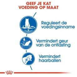 Royal Canin Kattenvoer Indoor Appetite Control 4 Kg -Beste Dierenwinkel royal canin indoor appetite control volwassen kat verzadigd gevoel binnenkat hero usp