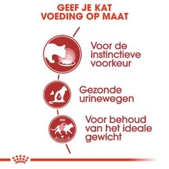 Royal Canin Kattenvoer Instinctive In Jelly 12 X 85 Gr 7 Royal Canin Kattenvoer Instinctive In Jelly 12 X 85 Gr -Beste Dierenwinkel royal canin instinctive in jelly volwassen kat kieskeurige katten hero usp