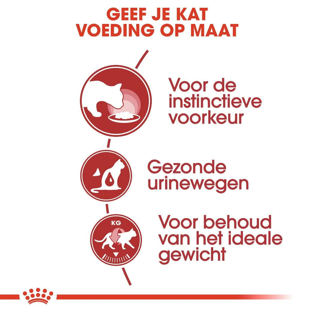 Royal Canin Kattenvoer Instinctive In Jelly 12 X 85 Gr 4 Royal Canin Kattenvoer Instinctive In Jelly 12 X 85 Gr - Afbeelding 4