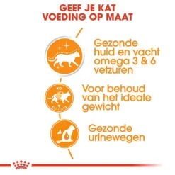 Royal Canin Kattenvoer Intense Beauty In Gravy 12 X 85 Gr 7 Royal Canin Kattenvoer Intense Beauty In Gravy 12 X 85 Gr -Beste Dierenwinkel royal canin intense beauty in gravy volwassen kat vacht en huid hero usp