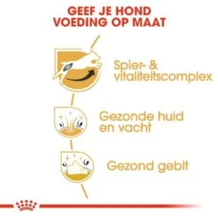 Royal Canin Hondenvoer Jack Russell Adult 7,5 Kg 5 Royal Canin Hondenvoer Jack Russell Adult 7,5 Kg -Beste Dierenwinkel royal canin jack russell terrier adult volwassen hond jack russell terrier vanaf 10 maanden hero usp 1