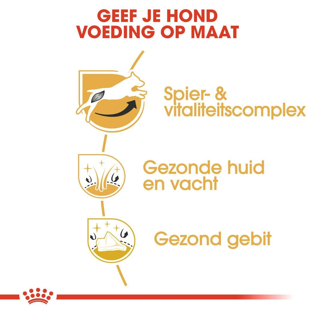 Royal Canin Hondenvoer Jack Russell Adult 7,5 Kg 3 Royal Canin Hondenvoer Jack Russell Adult 7,5 Kg - Afbeelding 3