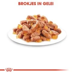 Royal Canin Kattenvoer Kitten In Jelly 12 X 85 Gr -Beste Dierenwinkel royal canin kitten in jelly kitten kat groeifase hero kibble