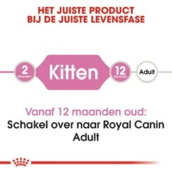 Royal Canin Kattenvoer Kitten 10 Kg 7 Royal Canin Kattenvoer Kitten 10 Kg -Beste Dierenwinkel royal canin kitten kitten kat groeifase hero image 8