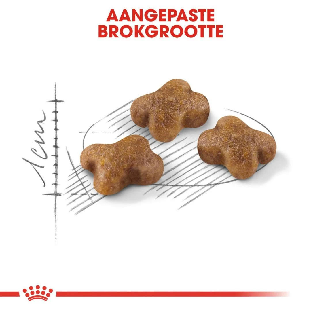 Royal Canin Kattenvoer Kitten 10 Kg 2 Royal Canin Kattenvoer Kitten 10 Kg - Afbeelding 2