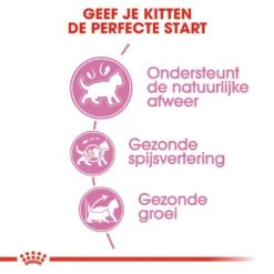 Royal Canin Kattenvoer Kitten 10 Kg 6 Royal Canin Kattenvoer Kitten 10 Kg -Beste Dierenwinkel royal canin kitten kitten kat groeifase hero usp