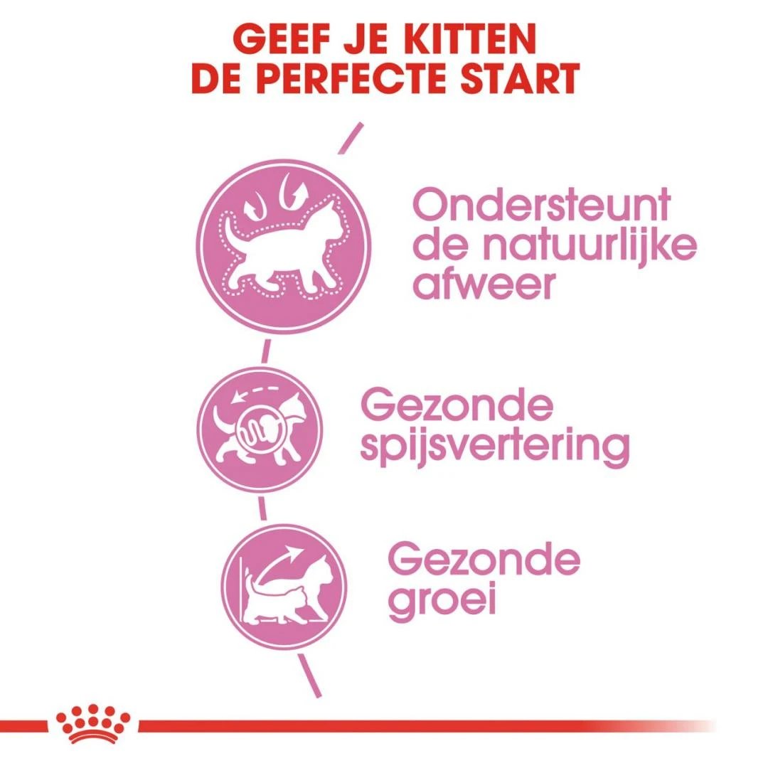Royal Canin Kattenvoer Kitten 10 Kg 3 Royal Canin Kattenvoer Kitten 10 Kg - Afbeelding 3