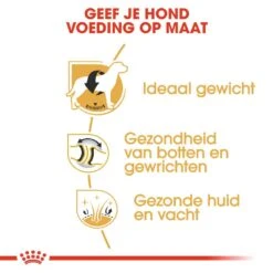 Royal Canin Hondenvoer Labrador Retriever Adult 3 Kg -Beste Dierenwinkel royal canin labrador retriever adult volwassen hond labrador retriever vanaf 15 maanden hero usp