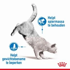 Royal Canin Kattenvoer Light Weight Care 8 Kg -Beste Dierenwinkel royal canin light weight care volwassen kat preventie overgewicht hero image 8 1