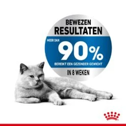 Royal Canin Kattenvoer Light Weight Care 8 Kg -Beste Dierenwinkel royal canin light weight care volwassen kat preventie overgewicht hero usp 1