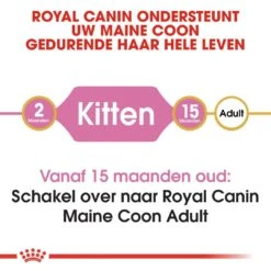 Royal Canin Kattenvoer Maine Coon Kitten 10 Kg -Beste Dierenwinkel royal canin maine coon kitten kitten kat maine coon hero image 8