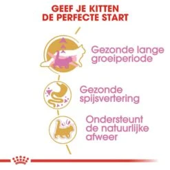 Royal Canin Kattenvoer Maine Coon Kitten 10 Kg -Beste Dierenwinkel royal canin maine coon kitten kitten kat maine coon hero usp