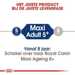 Royal Canin Hondenvoer Maxi Adult 5+ 4 Kg 7 Royal Canin Hondenvoer Maxi Adult 5+ 4 Kg -Beste Dierenwinkel royal canin maxi adult 5plus volwassen hond grote hondenrassen vanaf 5 jaar hero image 9