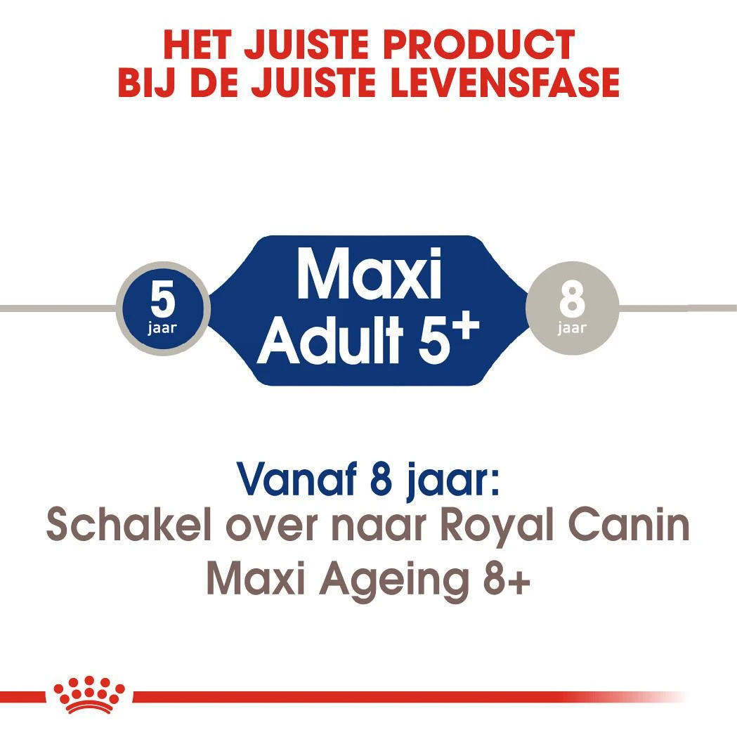 Royal Canin Hondenvoer Maxi Adult 5+ 4 Kg 4 Royal Canin Hondenvoer Maxi Adult 5+ 4 Kg - Afbeelding 4