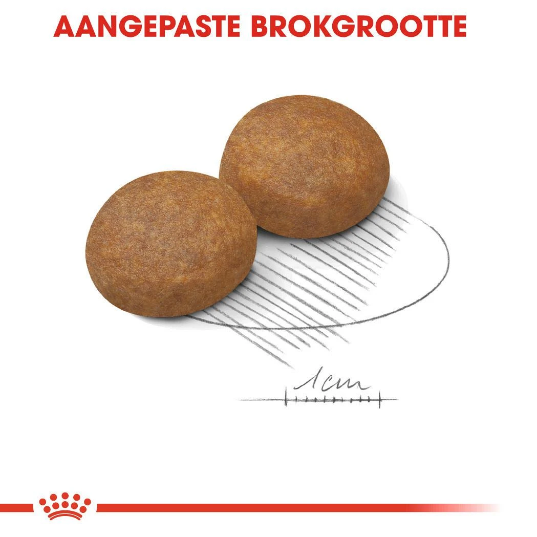 Royal Canin Hondenvoer Maxi Adult 5+ 4 Kg 2 Royal Canin Hondenvoer Maxi Adult 5+ 4 Kg - Afbeelding 2